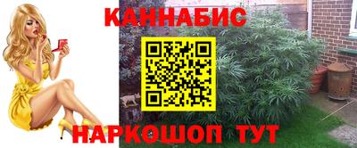 стаф Лесосибирск