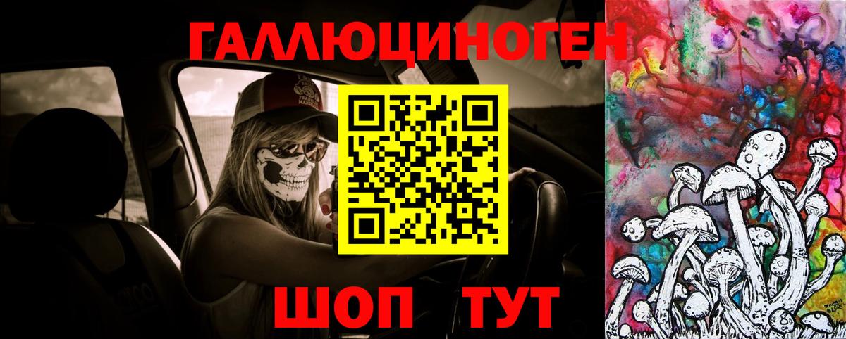 Галлюциногенные грибы Psilocybe Казань
