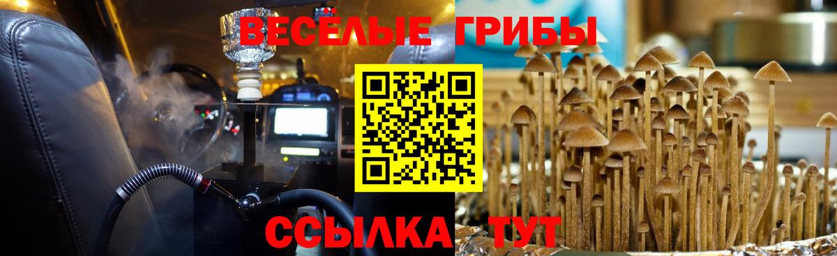 A PVP СОЛЬ кристаллы  Мефедрон кристаллы  NBOMe  Канабис  Казань  ТГК  Гашиш  Наркошоп  Вход с VPN  Cocaine 